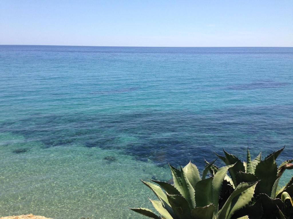 Hotel Ideal Arma di Taggia Exterior photo
